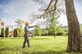 Best Lawn Irrigation Installation and Maintenance  in Laurel Hill, VA