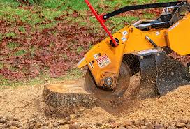 How Our Tree Care Process Works  in  Laurel Hill, VA